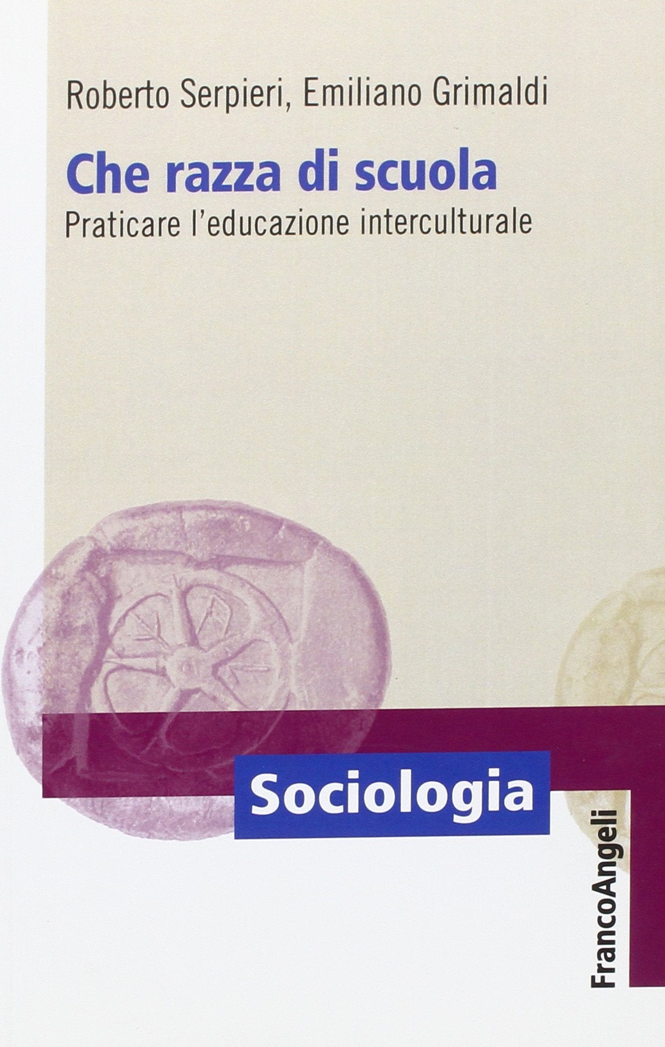 Che razza di scuola. Praticare l'educazione interculturale book