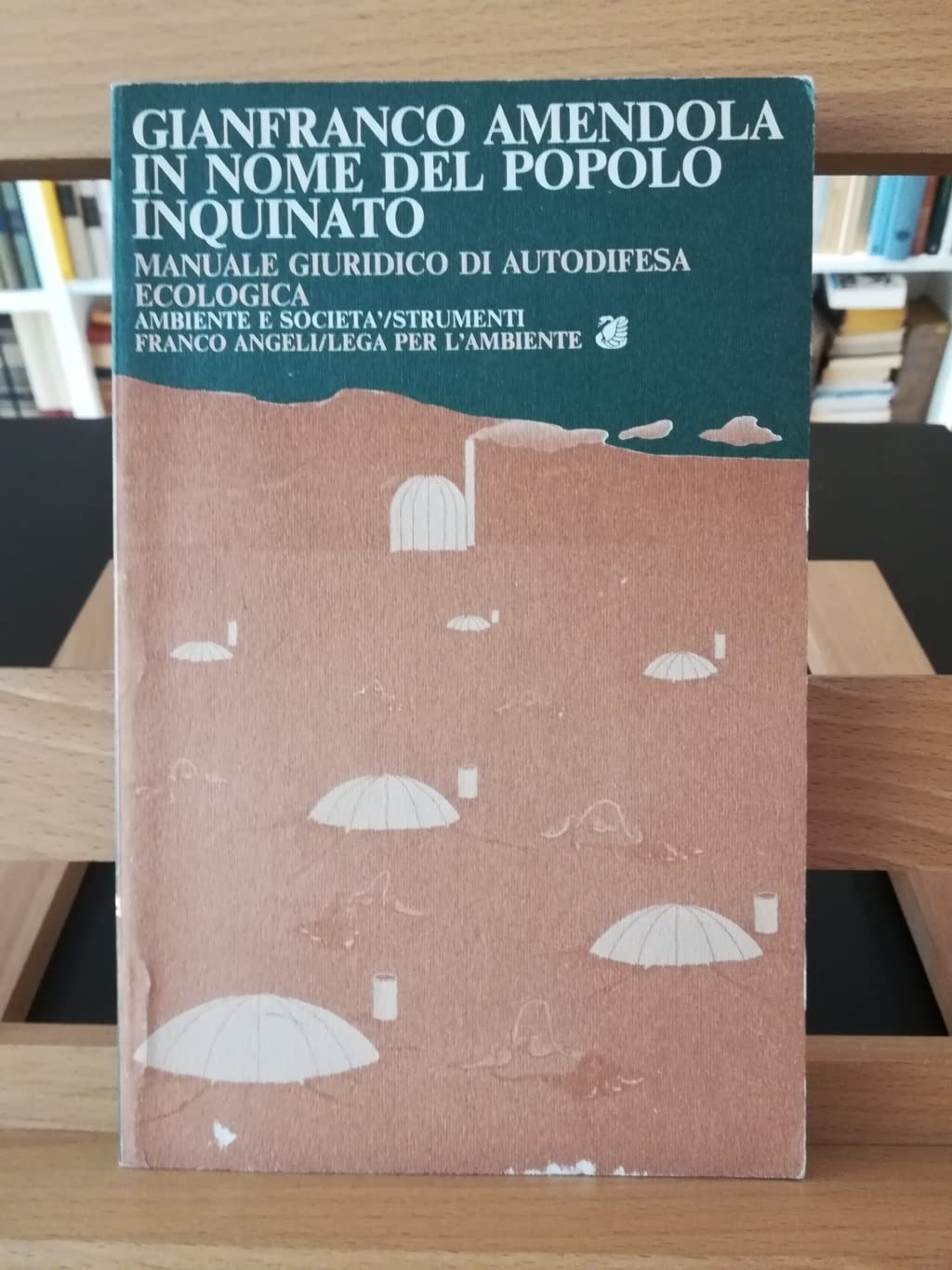 In nome del popolo inquinato (Ambiente e società-Sez. 1, Band 4) Mathematics