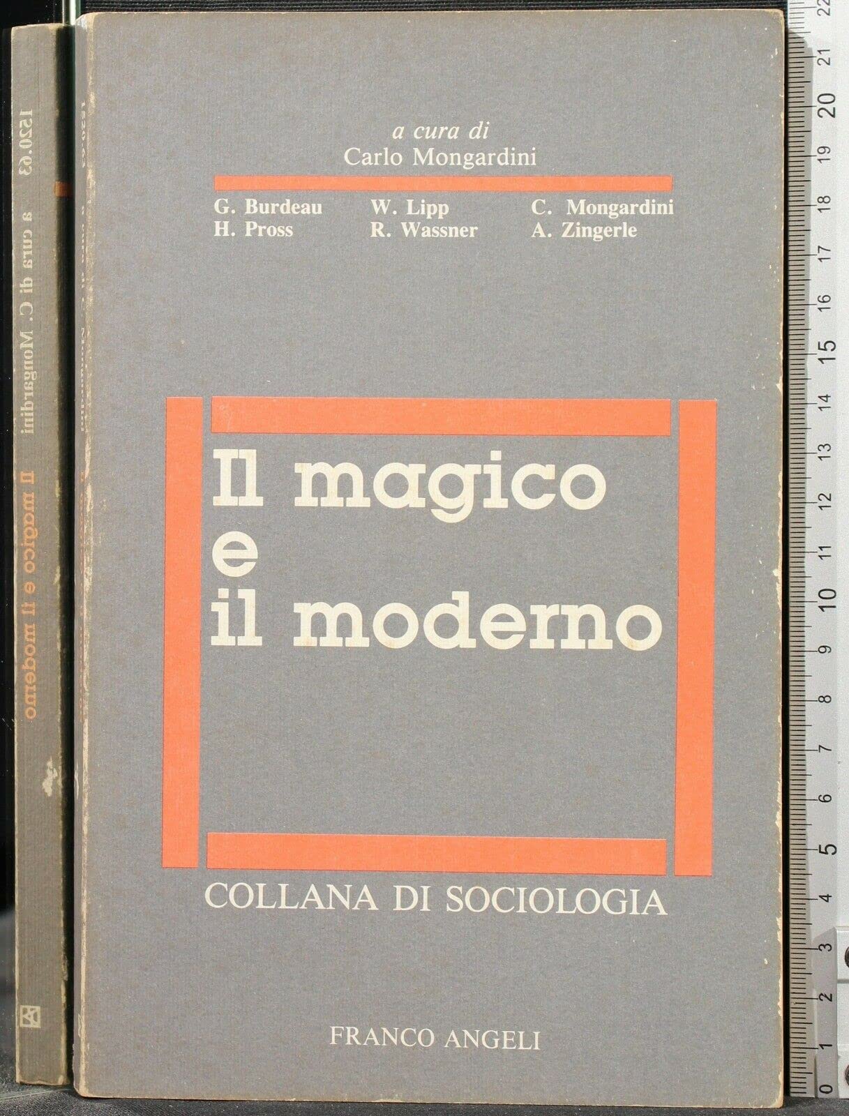 Il magico e il moderno (Sociologia, Band 63) Religion & Esotericism