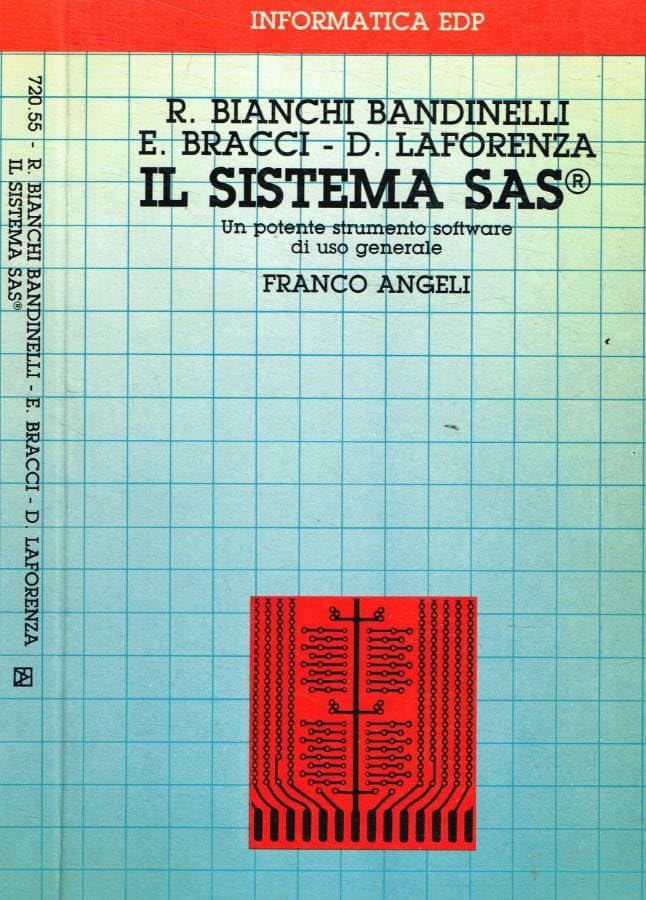 Il sistema Sas. Un potente strumento software di uso generale (Informatica EDP, Band 55) Computer Science