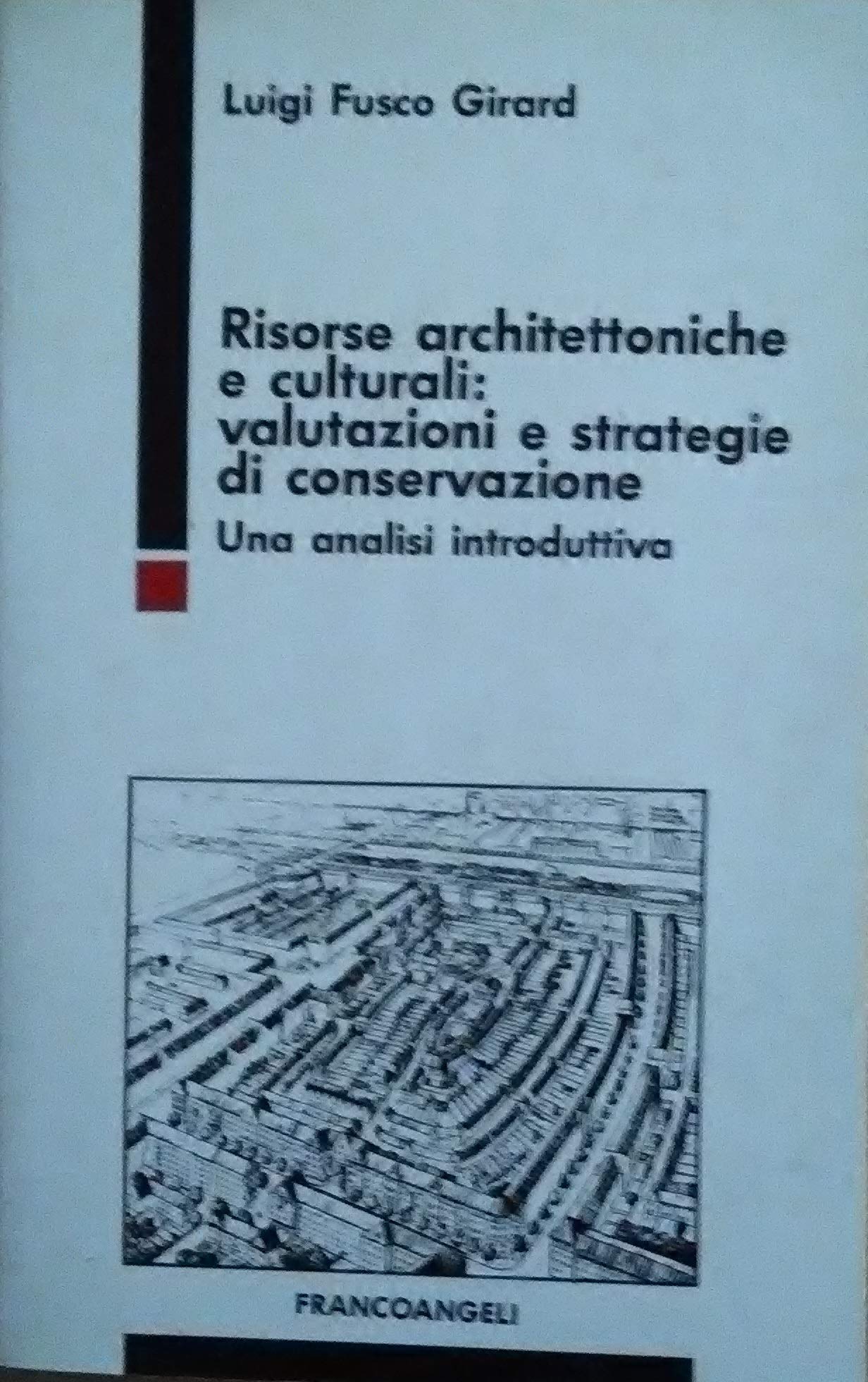 Risorse architettoniche e culturali: valutazioni e strategie di conservazione. Una analisi introduttiva (Varia) Architecture
