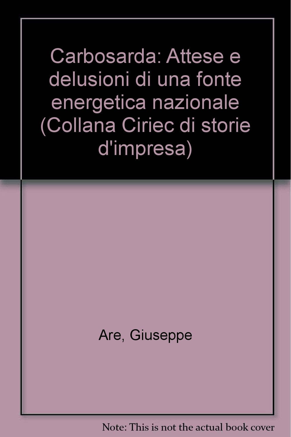 Carbosarda: attese e delusioni di una fonte energetica nazionale (Storie di impresa pubblica. Ciriec) Business, Finance & Career