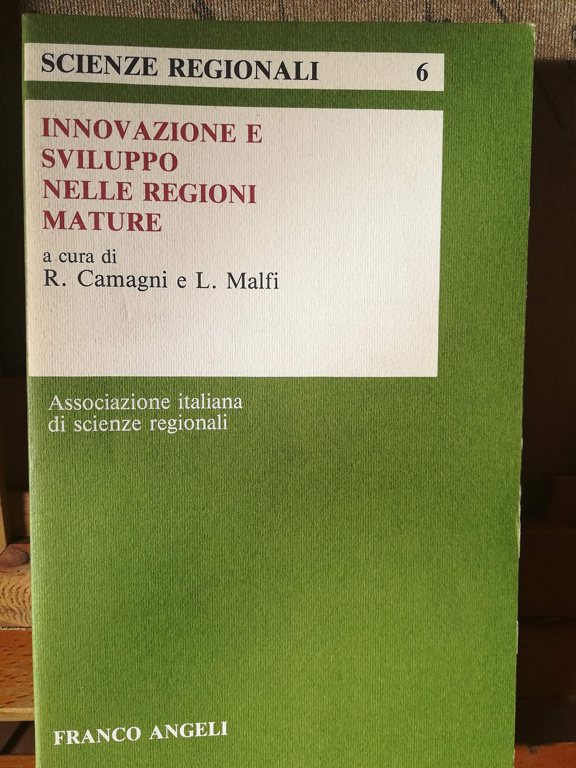 Innovazione e sviluppo nelle regioni mature (Scienze regionali, Band 6) Business, Finance & Career