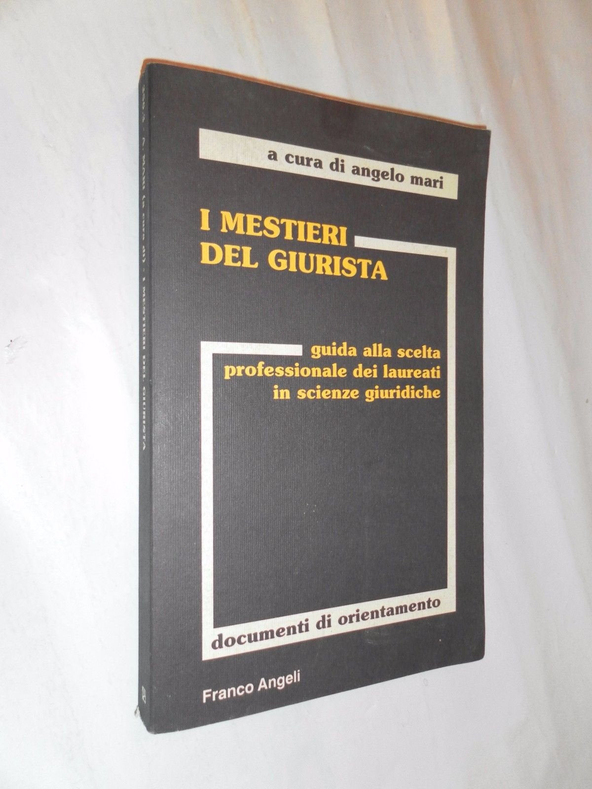 I mestieri del giurista. Guida alla scelta professionale dei laureati in scienze giuridiche (Documenti di orientamento, Band 3) Law