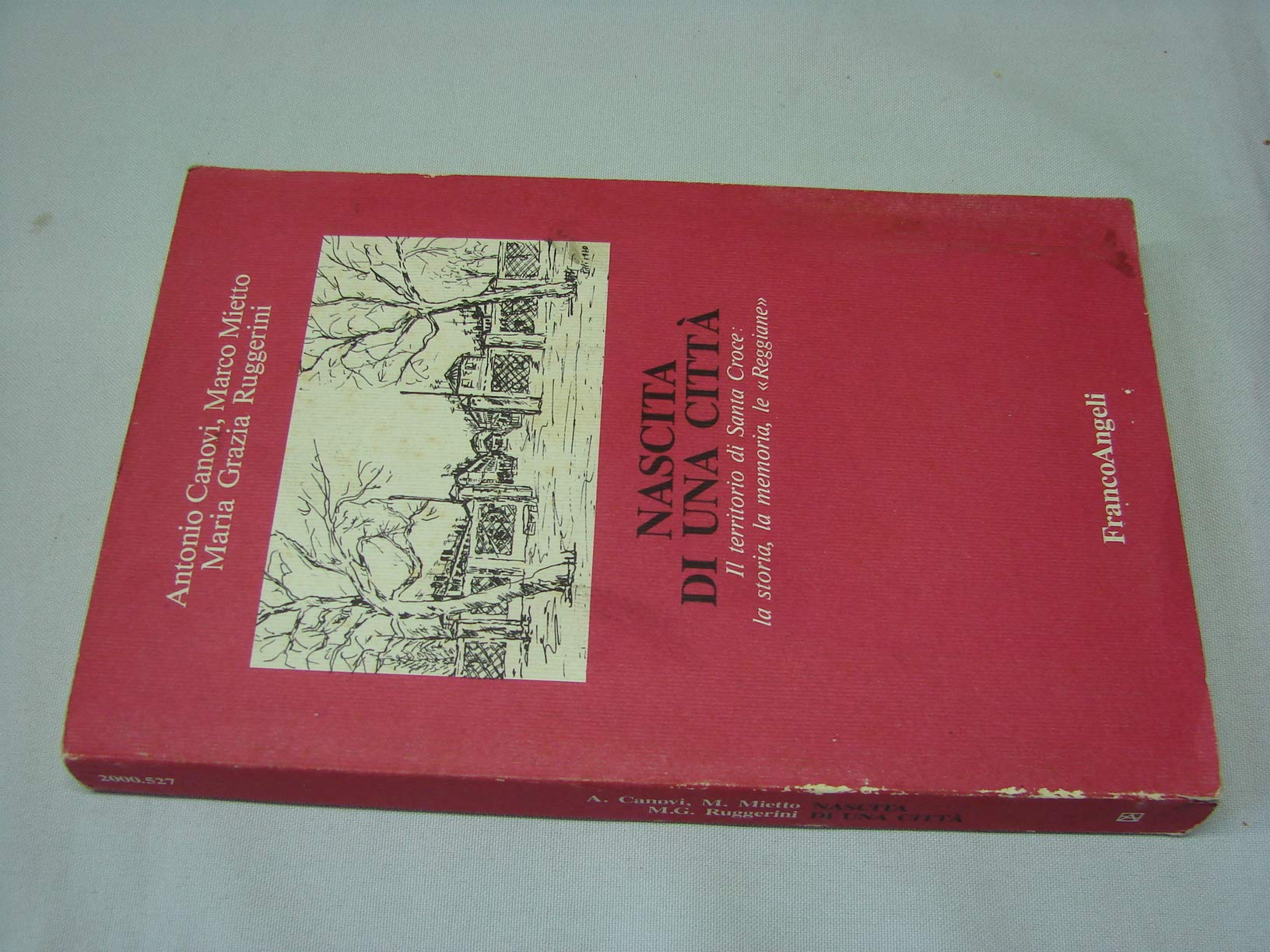 Nascita di una città. Il territorio di Santa Croce: la storia, la memoria, le Reggiane Leisure, Home & Garden