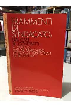 Frammenti di sindacato. Dai casi ai contratti (Lavoro-complessità) Business, Finance & Career