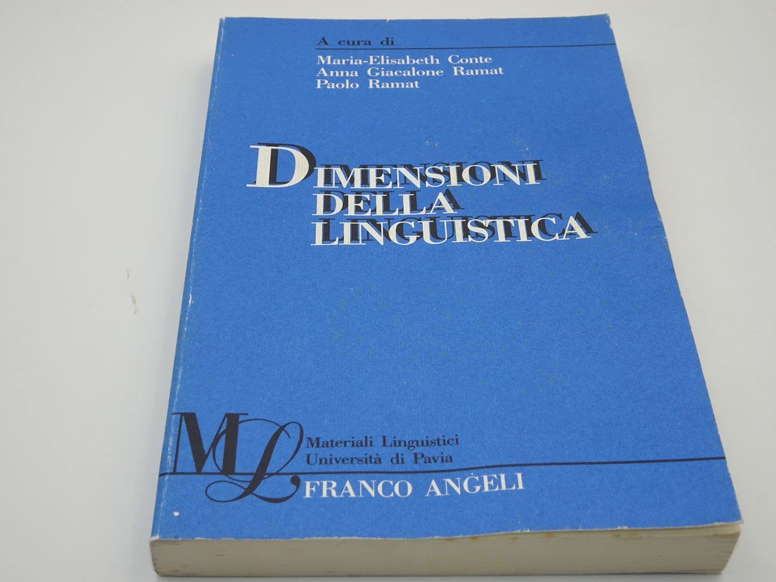 Dimensioni della linguistica (Materiali linguistici-Univ. di Pavia, Band 1) Social Sciences