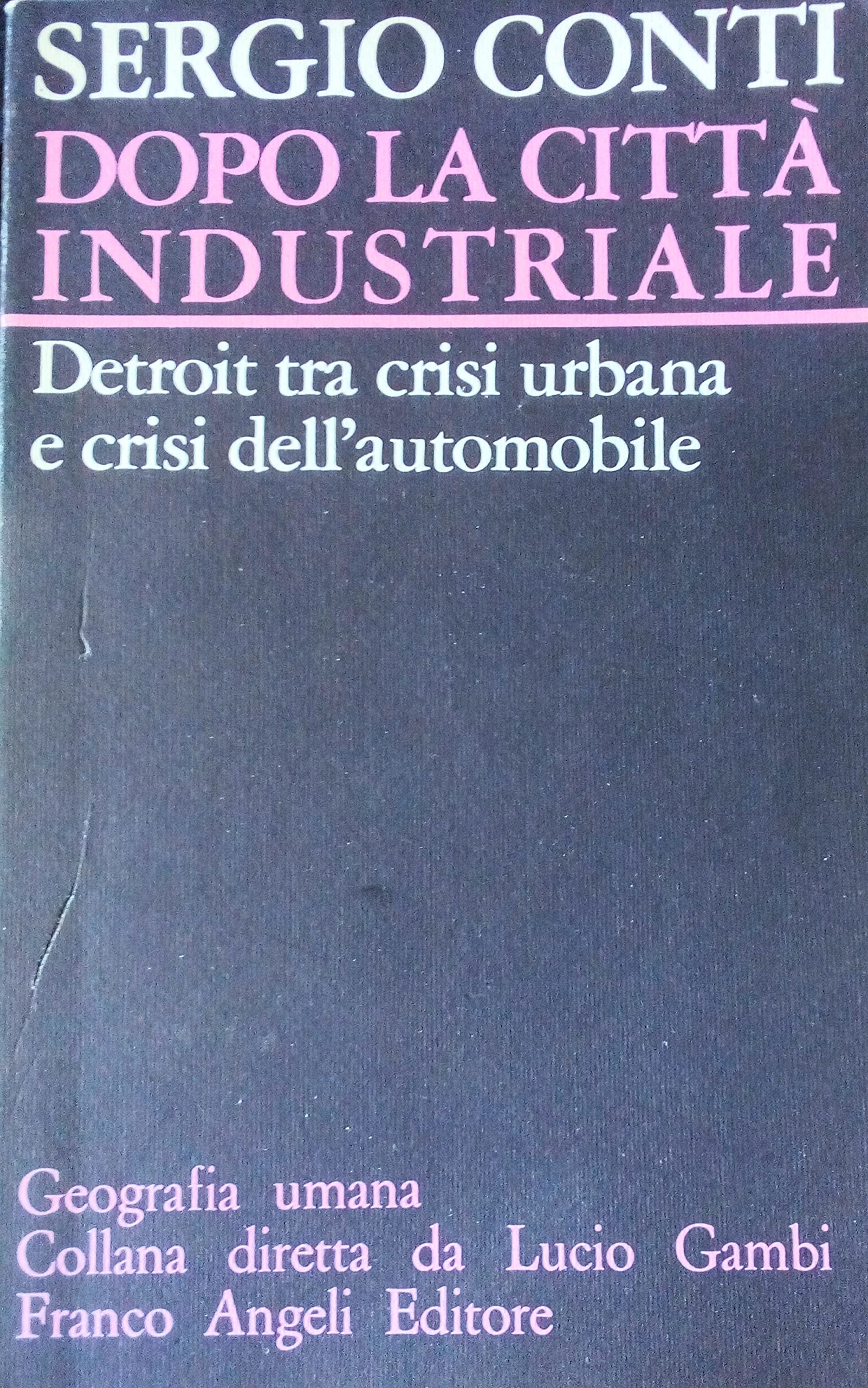 Dopo la città industriale. Detroit tra crisi urbana e crisi dell'automobile (Geografia umana, Band 43) Politics & History