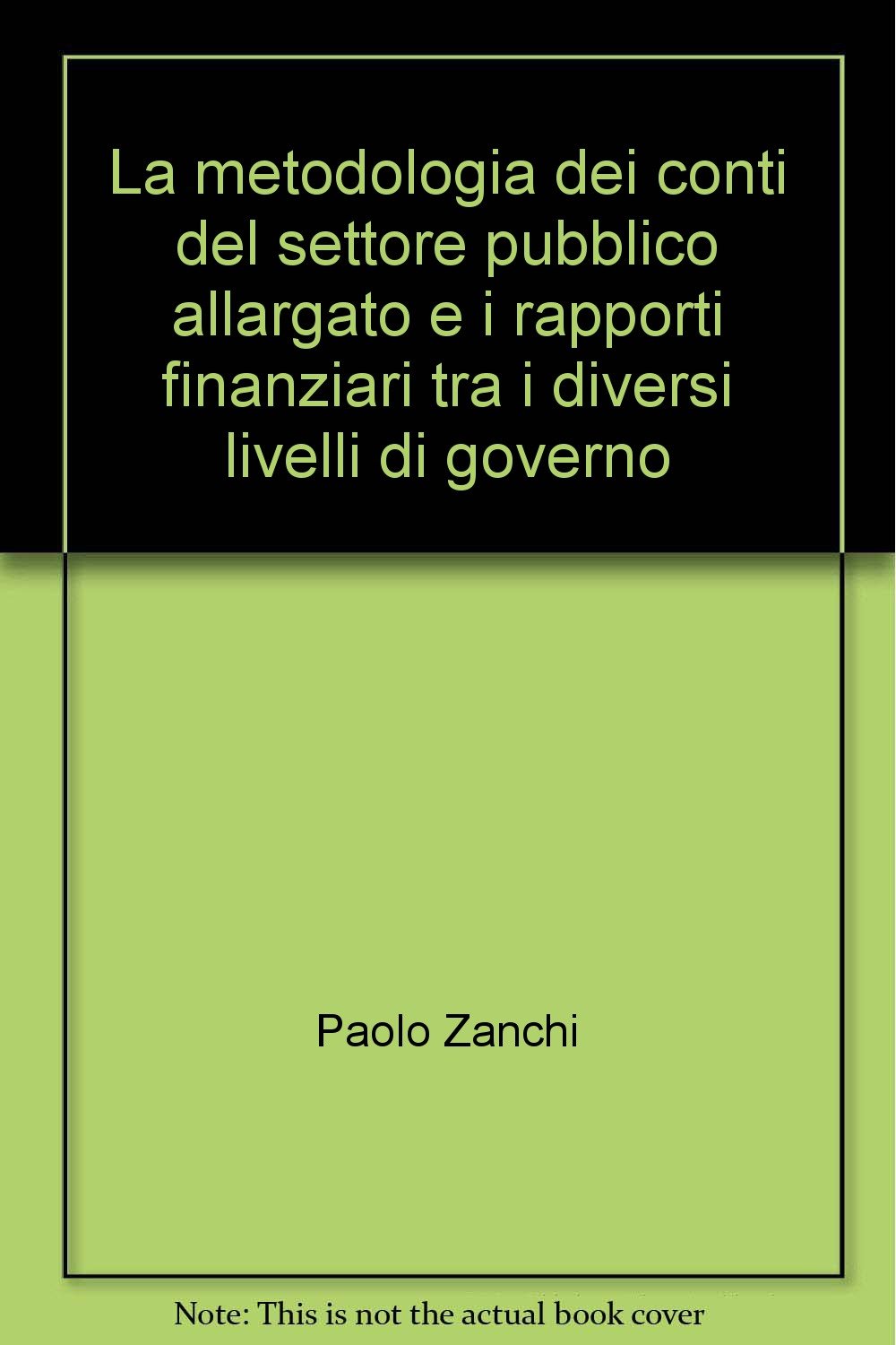 La metodologia dei conti del settore pubblico allargato e i rapporti finanziari tra i diversi livelli di governo (Dip. economia pubblica-Univ. di Pavia, Band 19) Business, Finance & Career