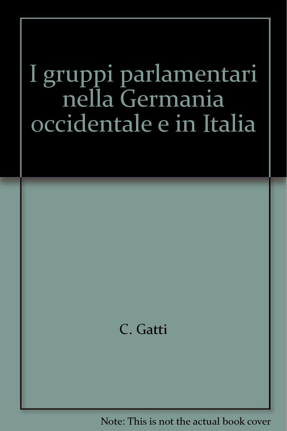 I gruppi parlamentari nella Germania occidentale e in Italia (La società e il potere, Band 8) Books