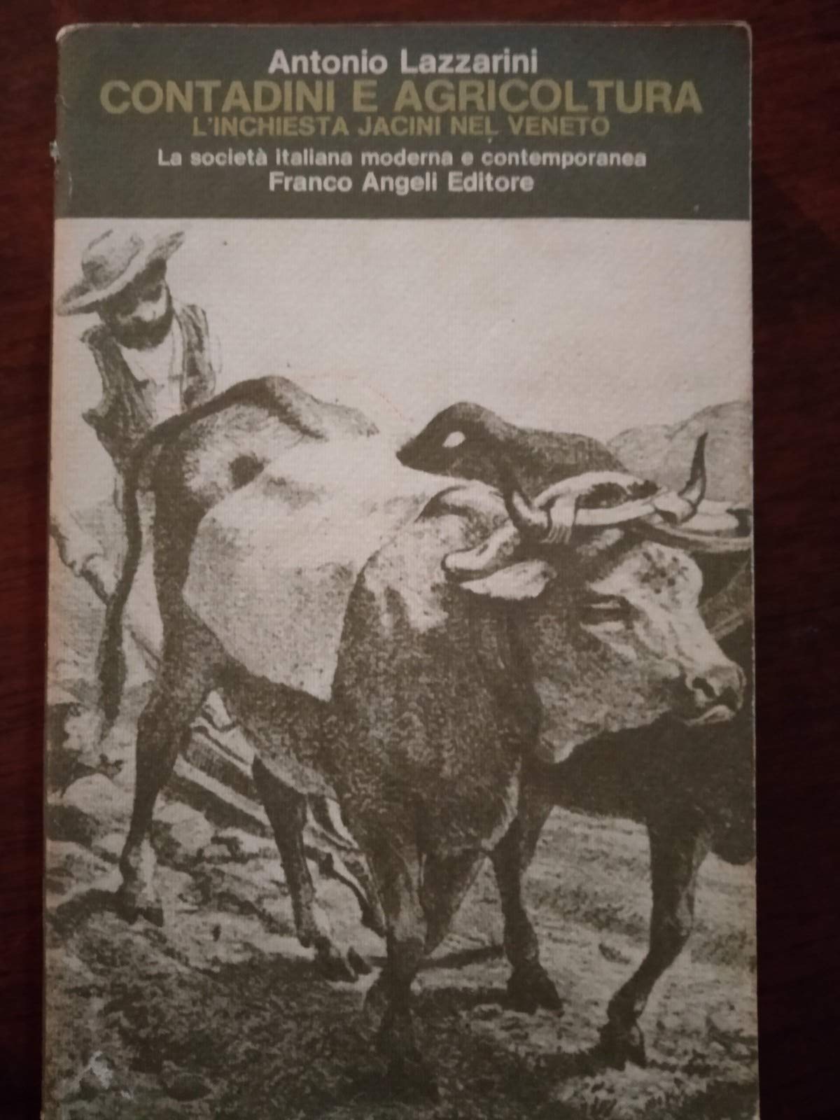 Contadini e agricoltura. L'inchiesta Jacini nel Veneto (La società it. moderna e contemp.-Sez. 1, Band 10) Politics & History