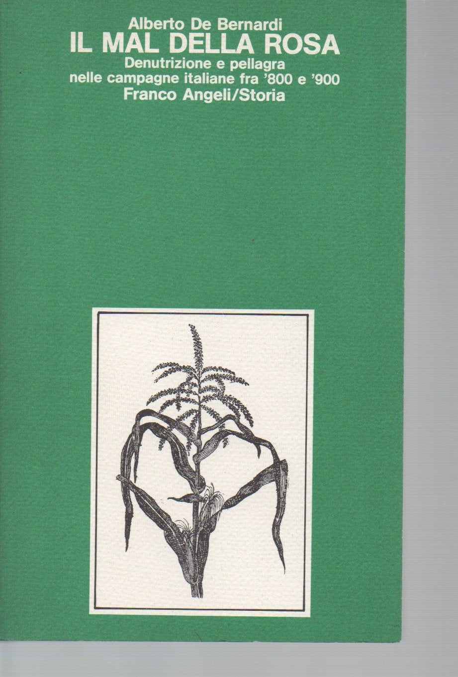 Il mal della rosa. Denutrizione e pellagra nelle campagne italiane tra '800 e '900 (Storia-Studi e ricerche) Social Sciences