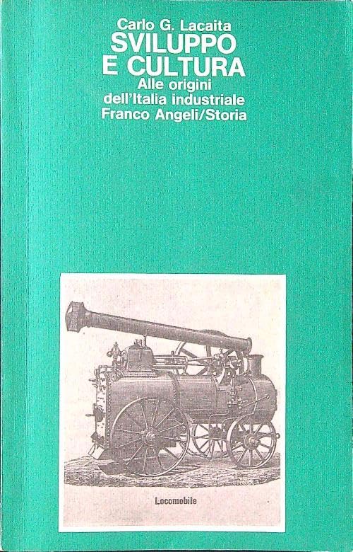 Sviluppo e cultura. Alle origini dell'Italia industriale (Storia-Studi e ricerche, Band 48) Books