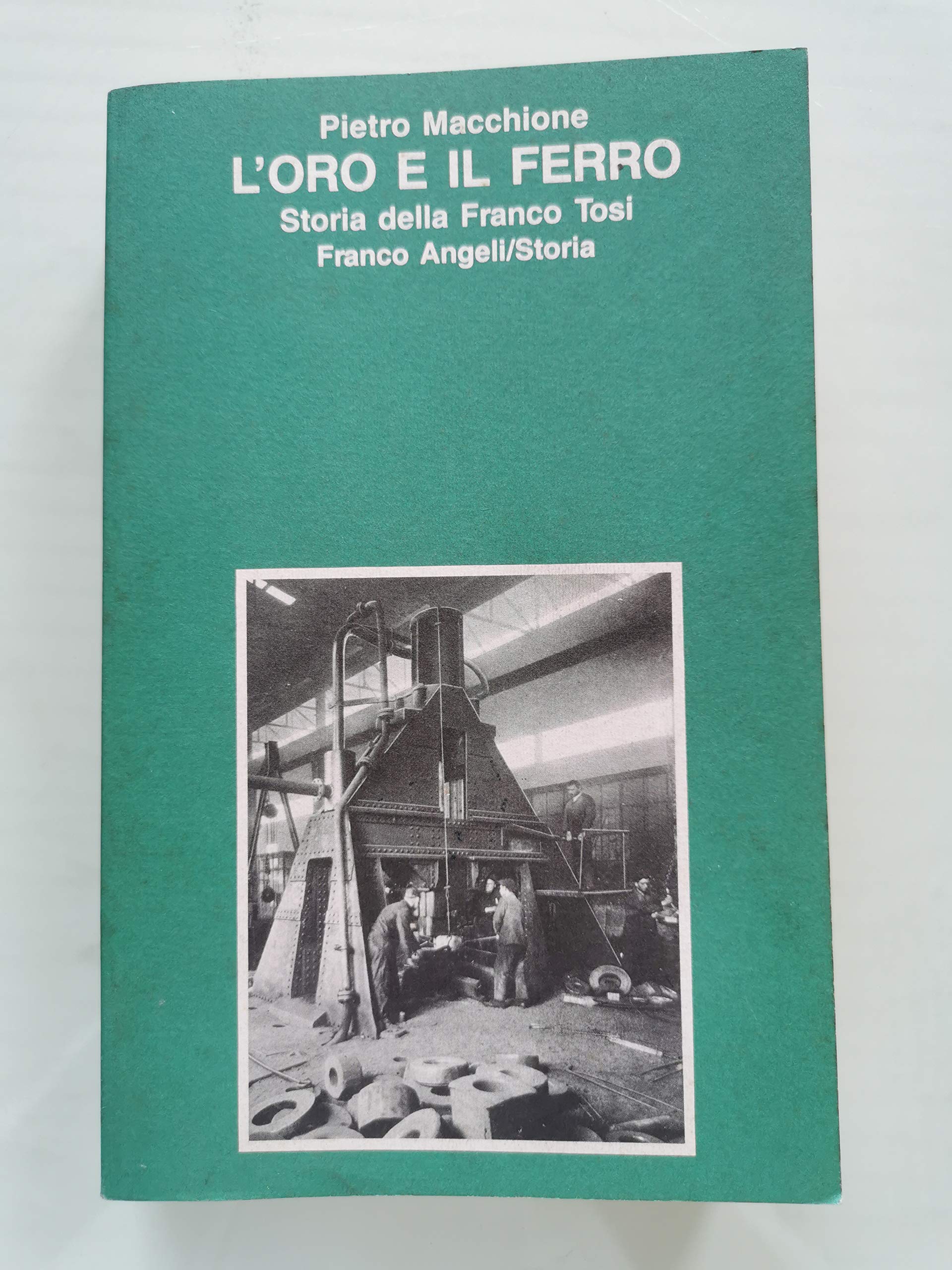 L'oro e il ferro. Storia della Franco Tosi (Storia-Studi e ricerche, Band 87) Politics & History
