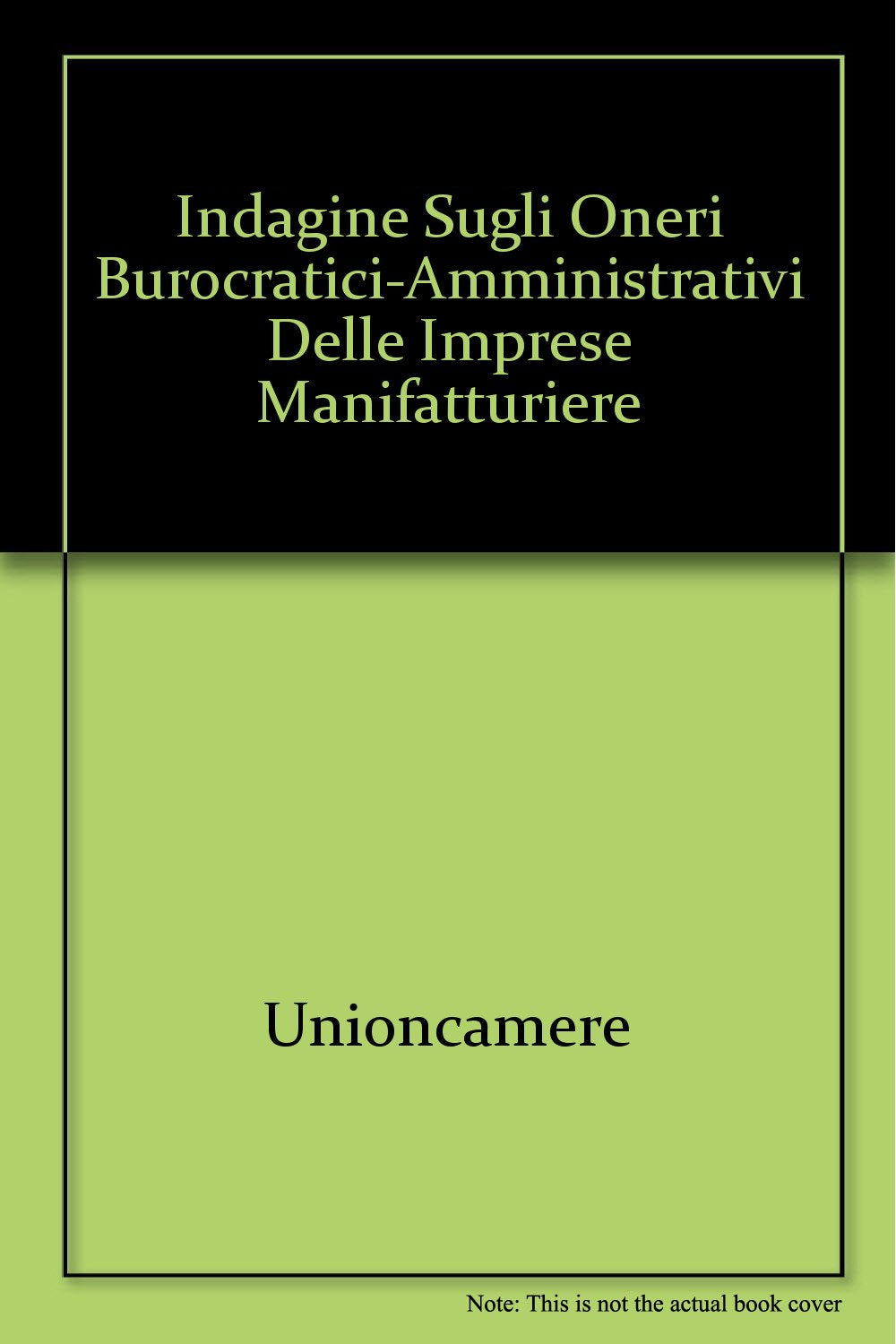 Indagine sugli oneri burocratici-amministrativi delle imprese manifatturiere (Unioncamere-Ricerche, Band 6) Business, Finance & Career