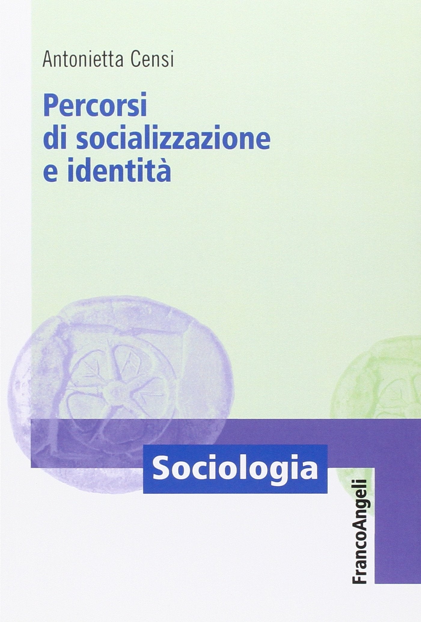 Percorsi di socializzazione e identità (Sociologia, Band 746) Social Sciences