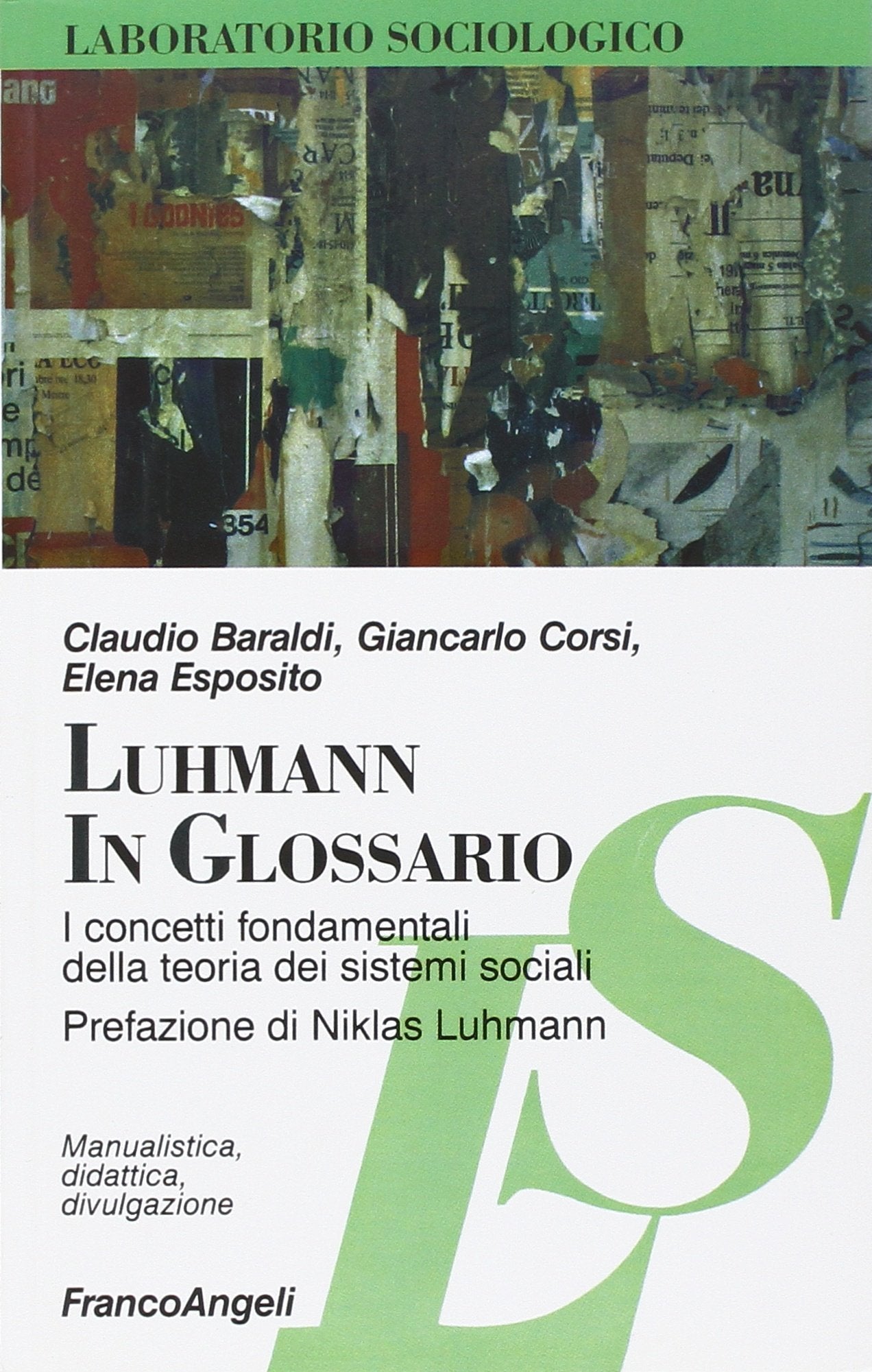 Luhmann in glossario. I concetti fondamentali della teoria dei sistemi sociali book