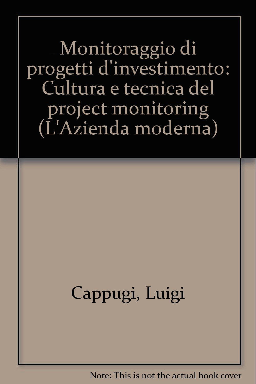 Monitoraggio di progetti d'investimento. Cultura e tecnica del project monitoring (Azienda moderna, Band 259) Business & Technology