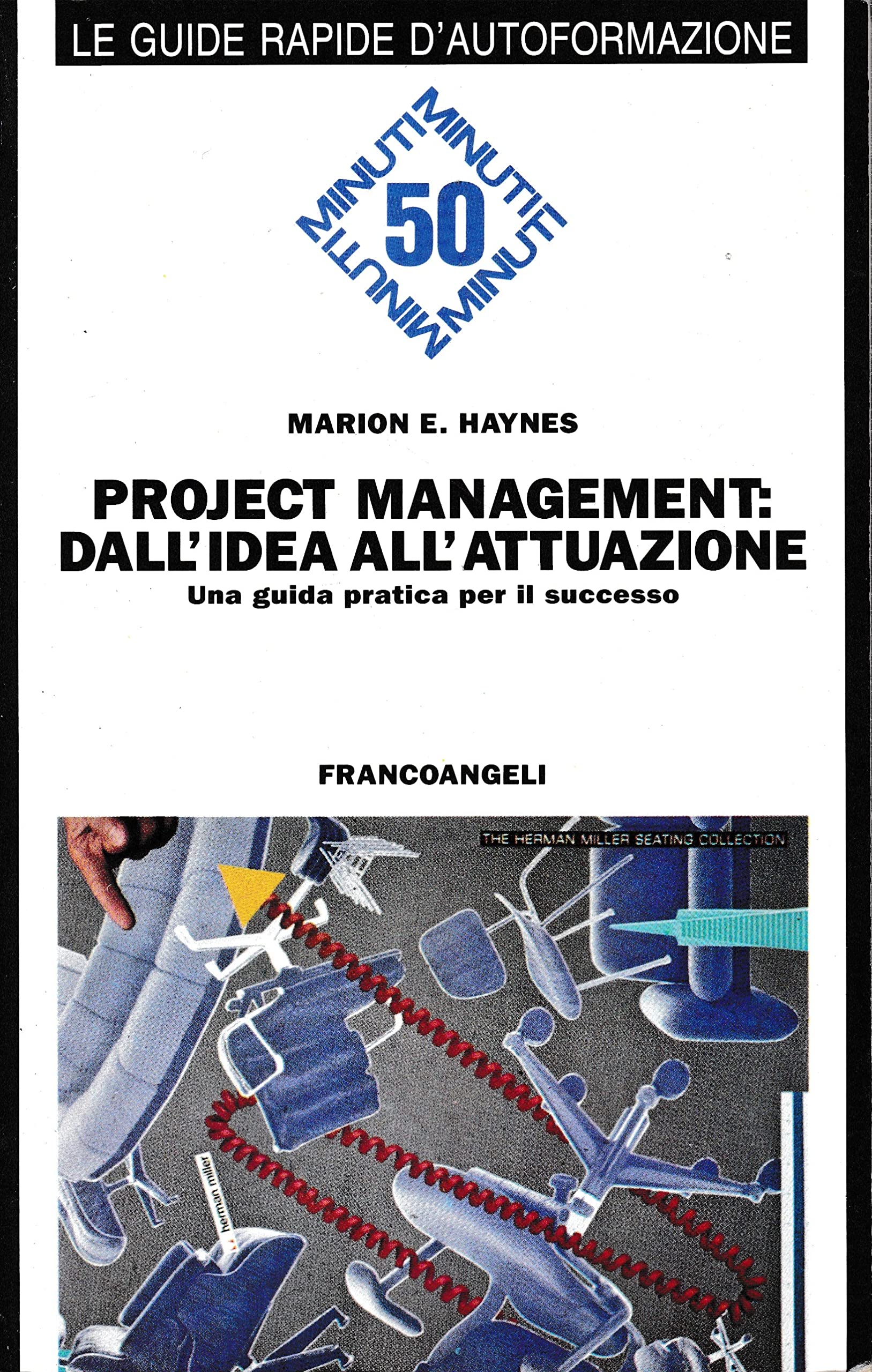 Project Management: dall'idea all'attuazione. Una guida pratica per il successo book