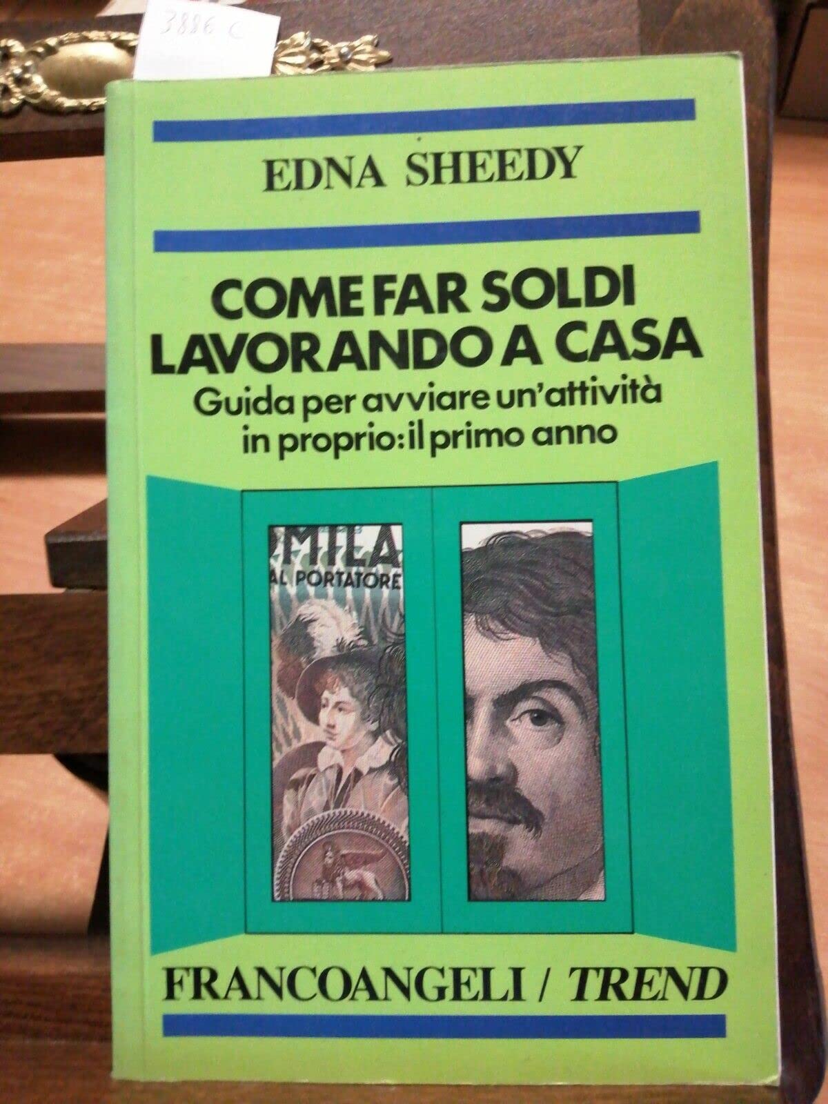 Come far soldi lavorando a casa. Guida per avviare un'attività in proprio: il primo anno (Trend, Band 59) Business, Finance & Career