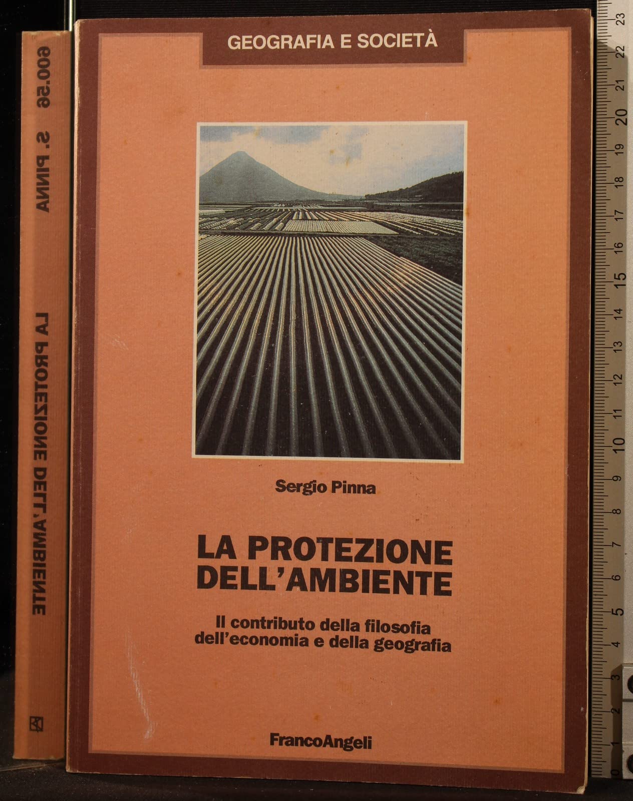 La protezione dell'ambiente. Il contributo della filosofia, dell'economia e della geografia book