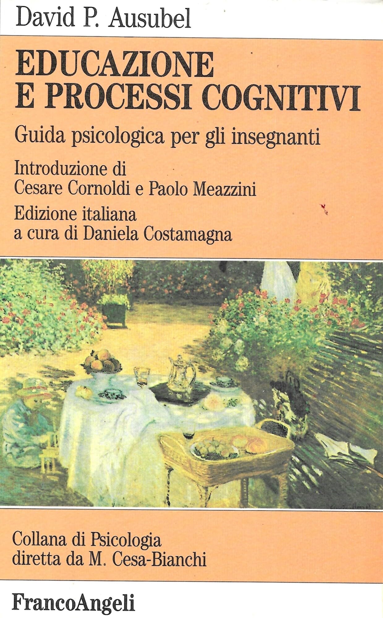 Educazione e processi cognitivi. Guida psicologica per gli insegnanti book