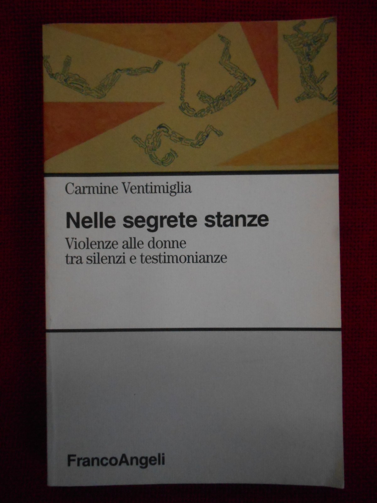 Nelle segrete stanze. Violenze alle donne tra silenzi e testimonianze book
