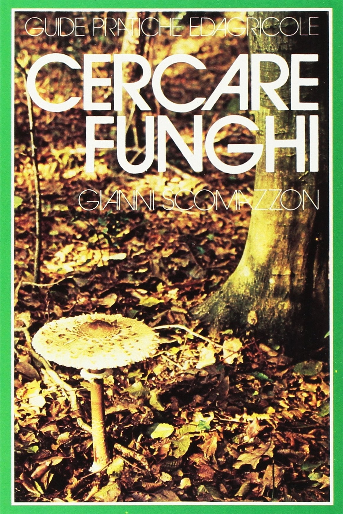 Guida pratica per cercare funghi (Guide pratiche Edagricole) Leisure, Home & Garden