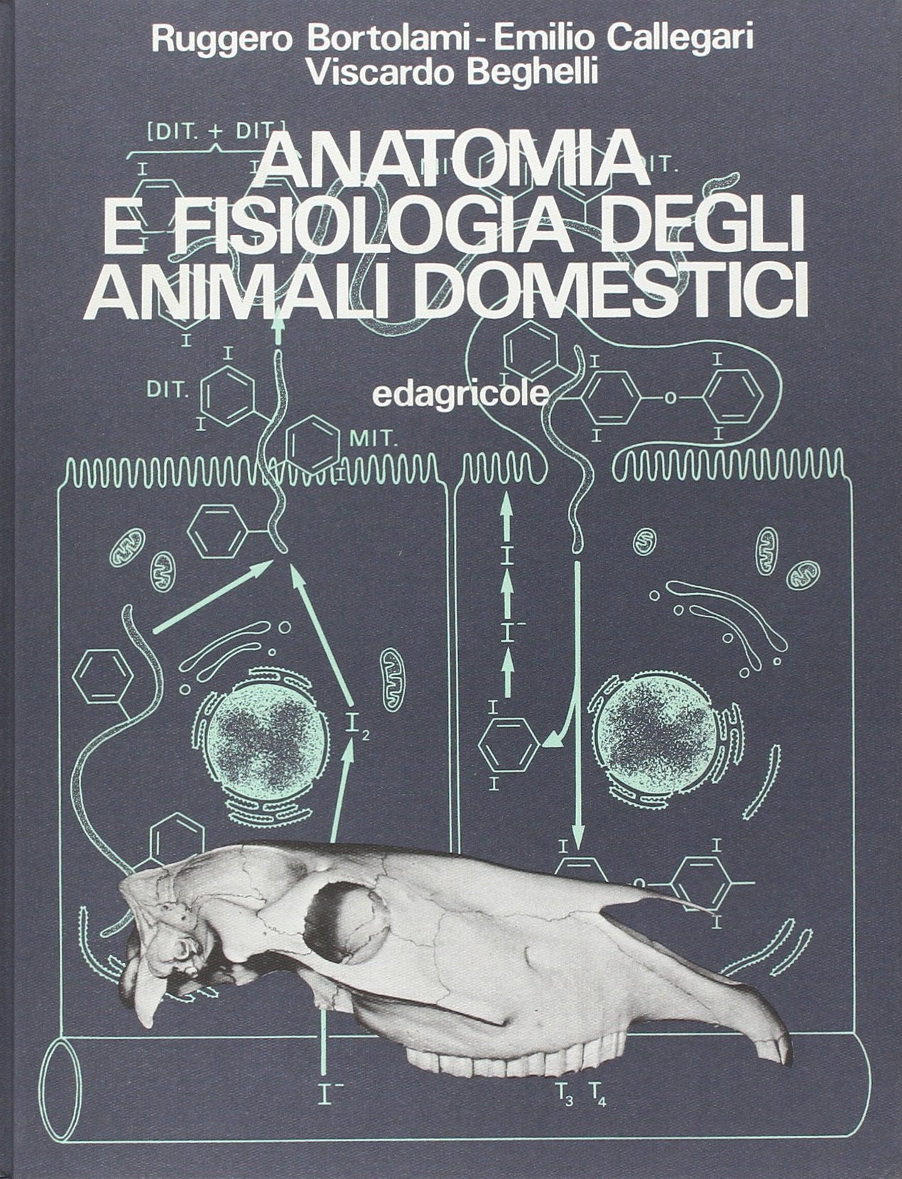 Anatomia e fisiologia degli animali domestici book