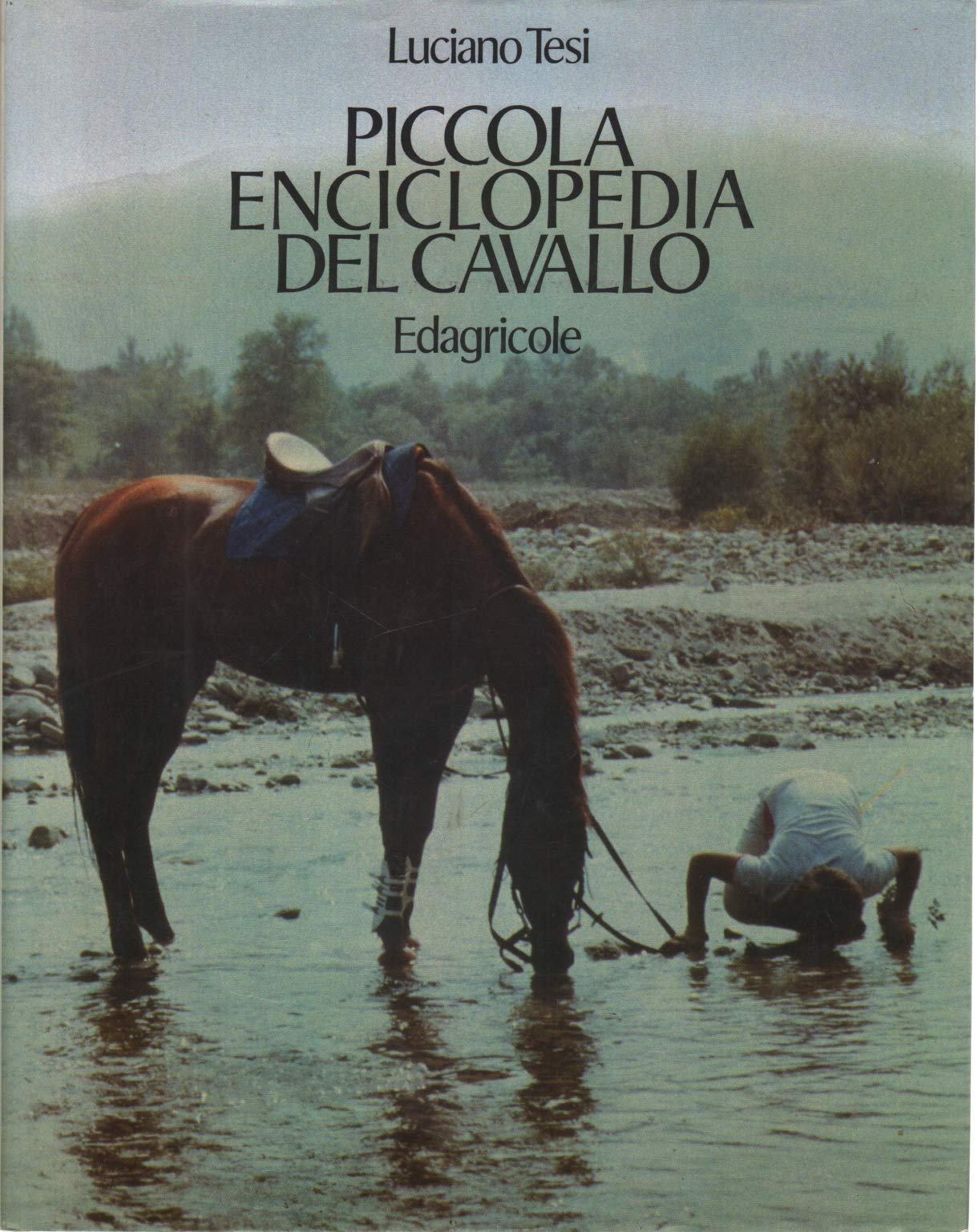 Piccola enciclopedia del cavallo book