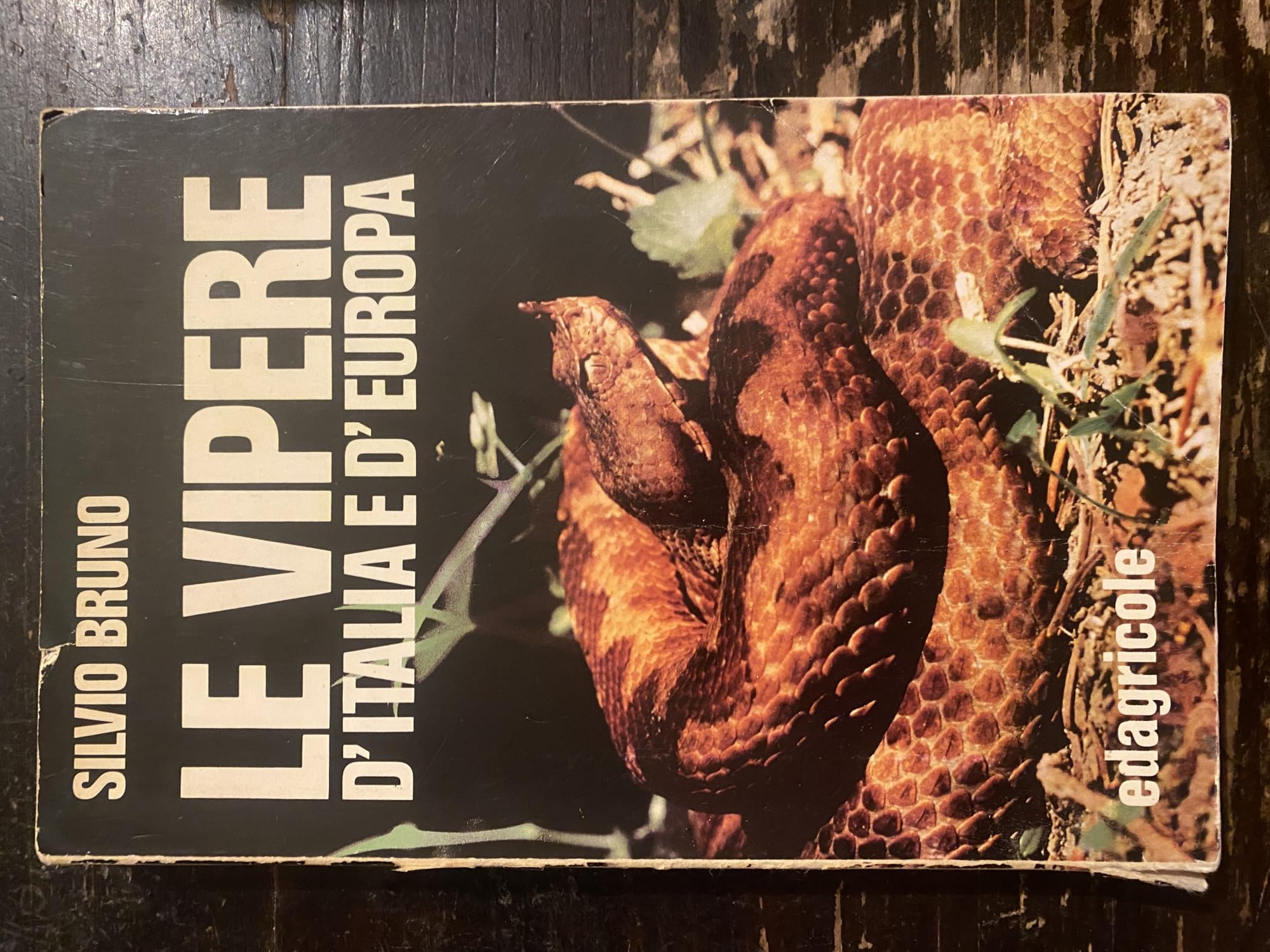 Le vipere d'Italia e d'Europa (Uomo e natura) Natural Sciences