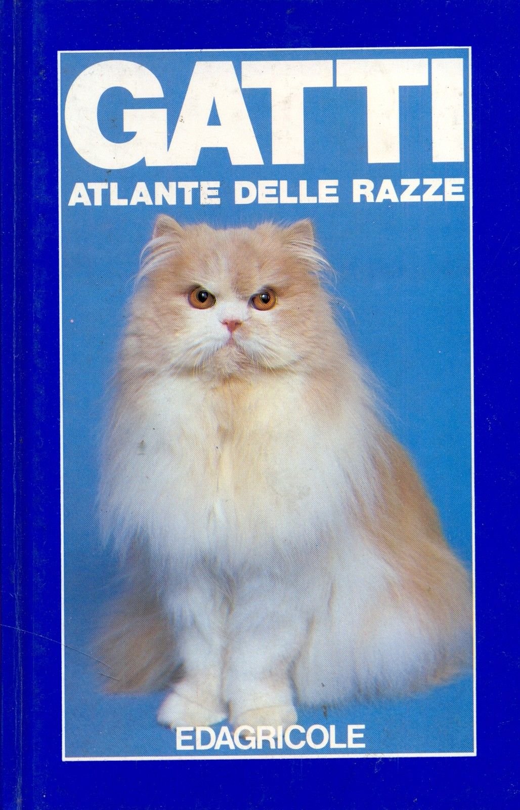 Gatti. Atlante delle razze book