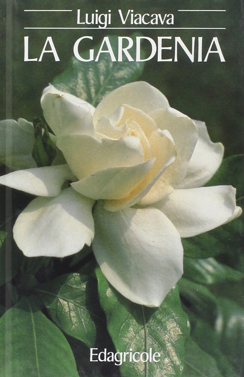 La gardenia (Manuali tecnici floricoltura) Books