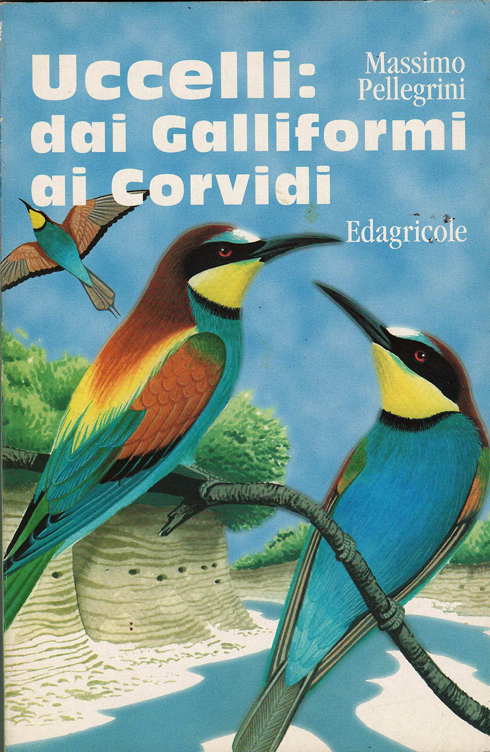 Uccelli: dai galliformi ai corvidi book