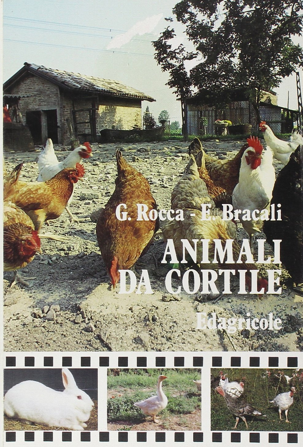 Animali da cortile (Manuali professionali) Leisure, Home & Garden