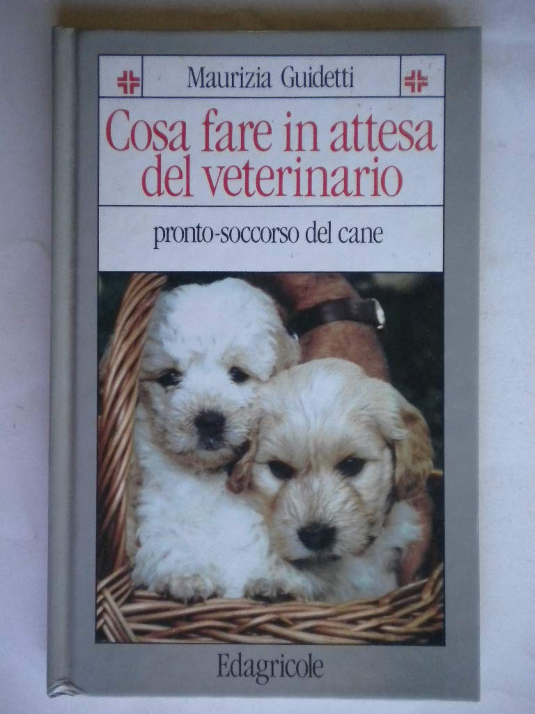 Cosa fare in attesa del veterinario. Pronto soccorso del cane Medicine
