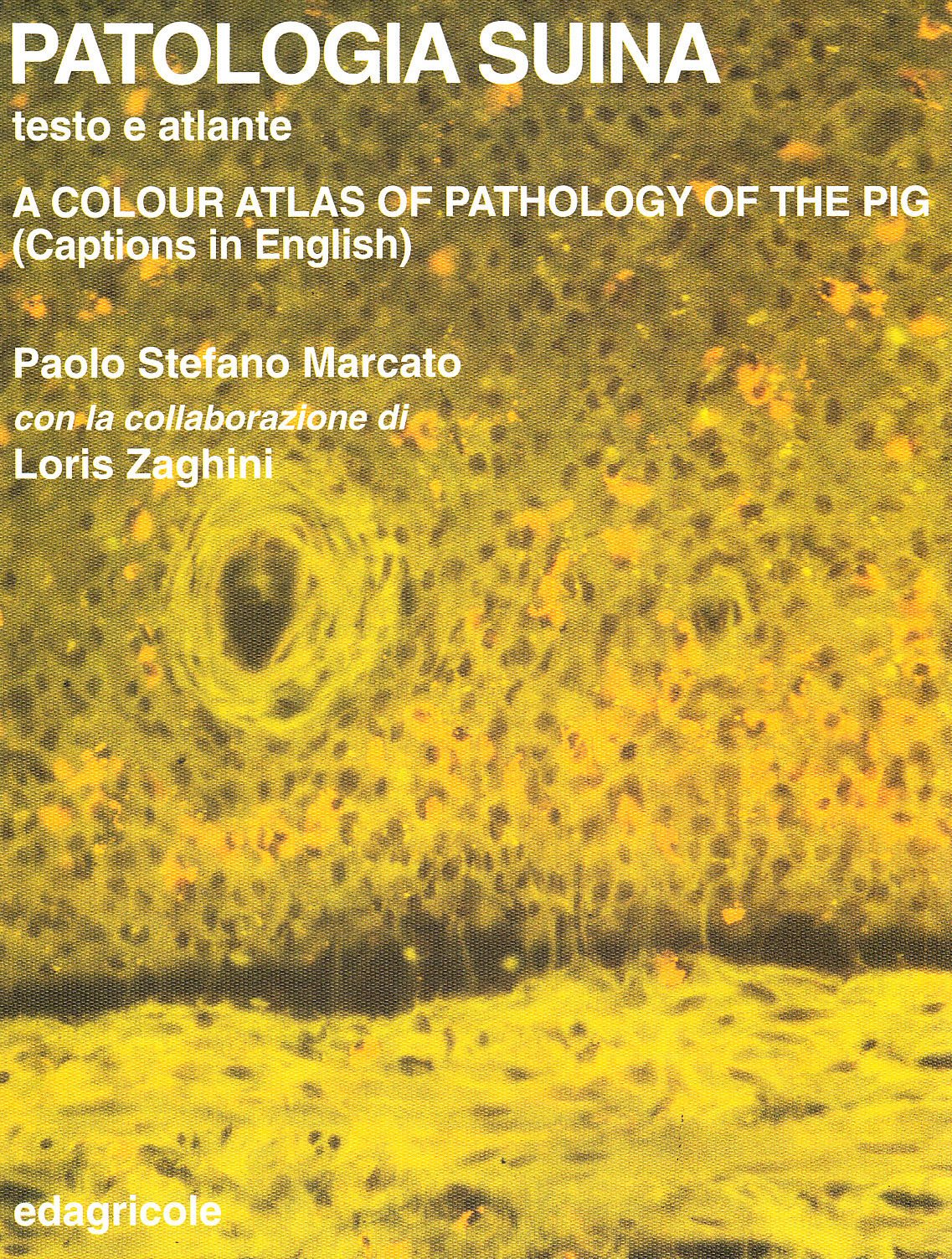 Patologia suina. Testo atlante book