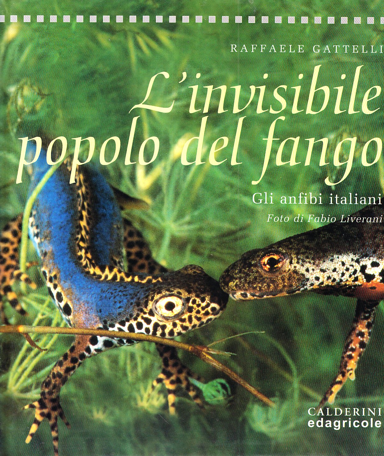 L'invisibile popolo del fango. Gli anfibi italiani Leisure, Home & Garden