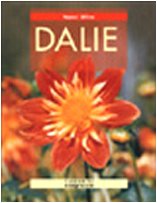 Dalie Garden & Plants