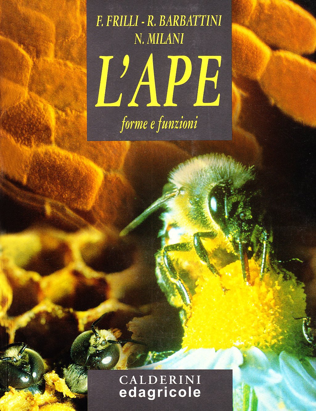 L'ape. Forme e funzioni book