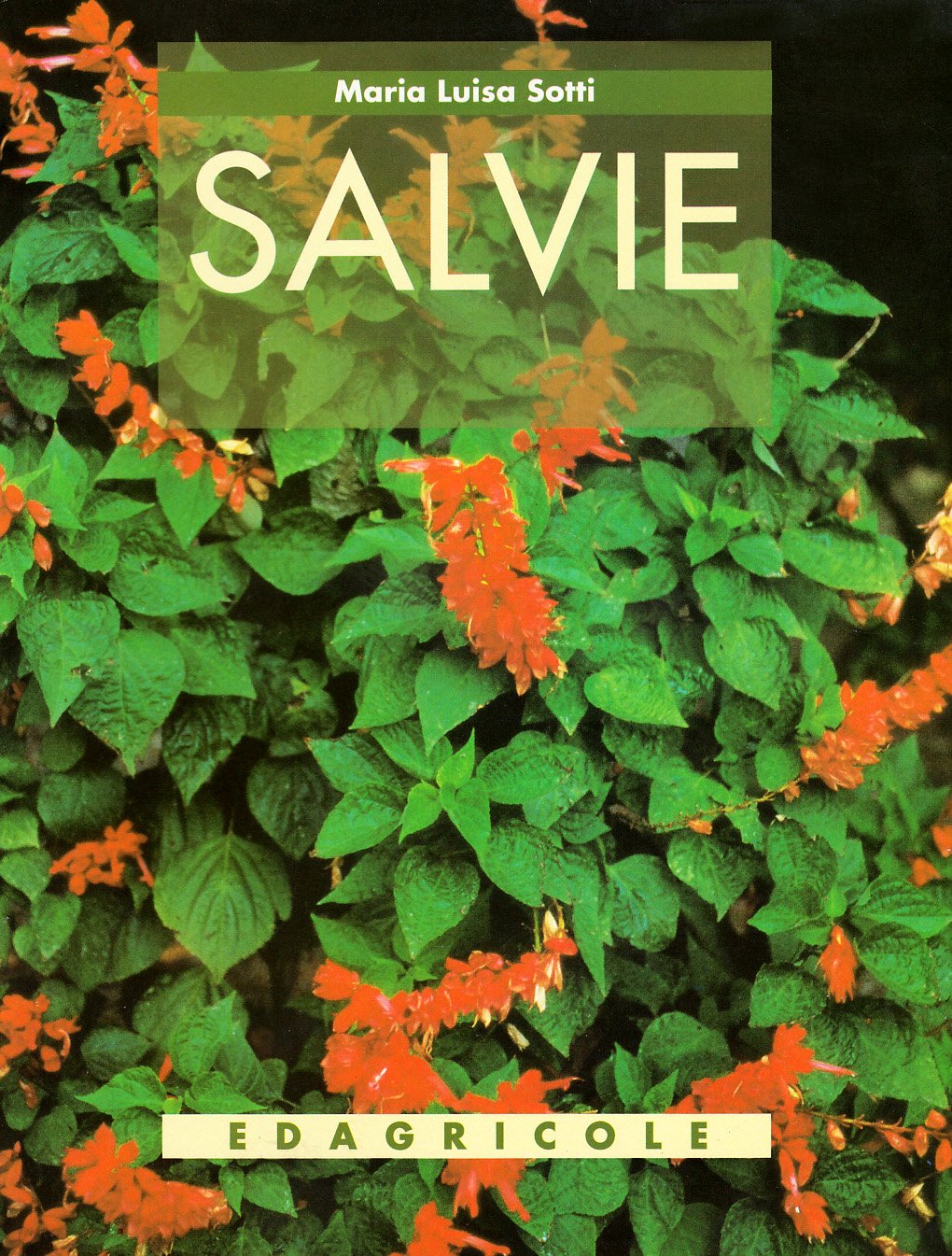 Salvie Garden & Plants Books