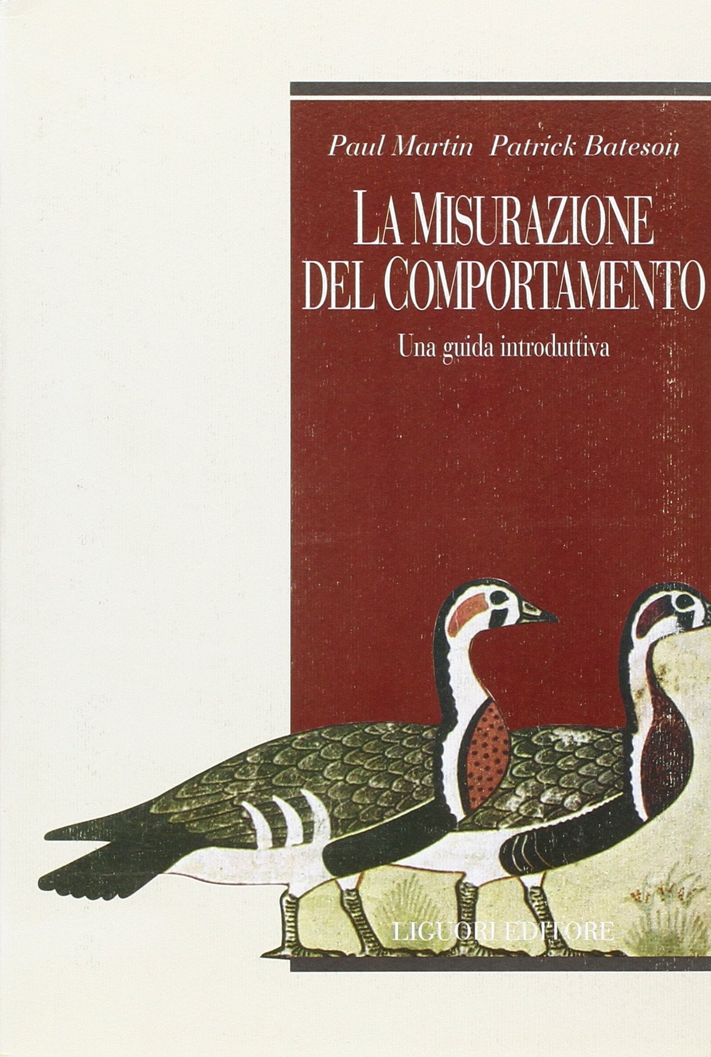 La misurazione del comportamento. Una guida introduttiva book