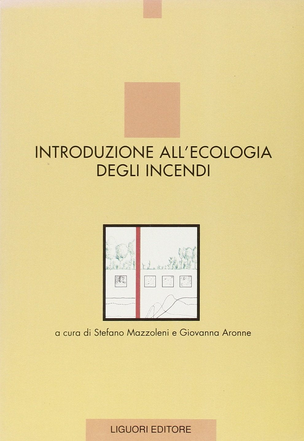 Introduzione all'ecologia degli incendi Mathematics