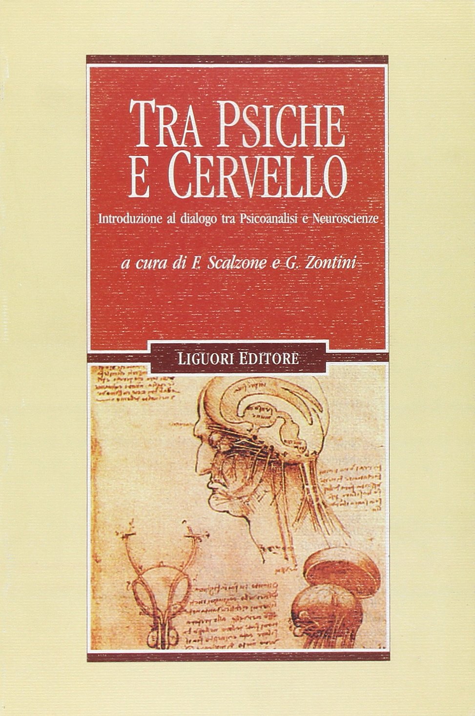Tra psiche e cervello. Introduzione al dialogo tra psicoanalisi e neuroscienze book