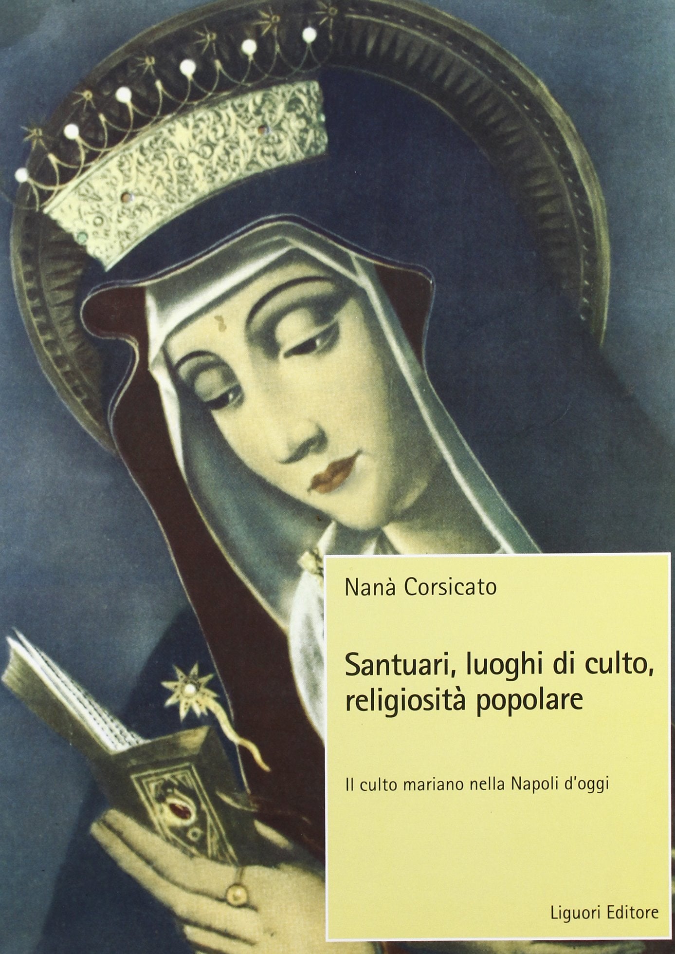 Santuari, luoghi di culto, religiosità popolare. Il culto mariano nella Napoli d'oggi book