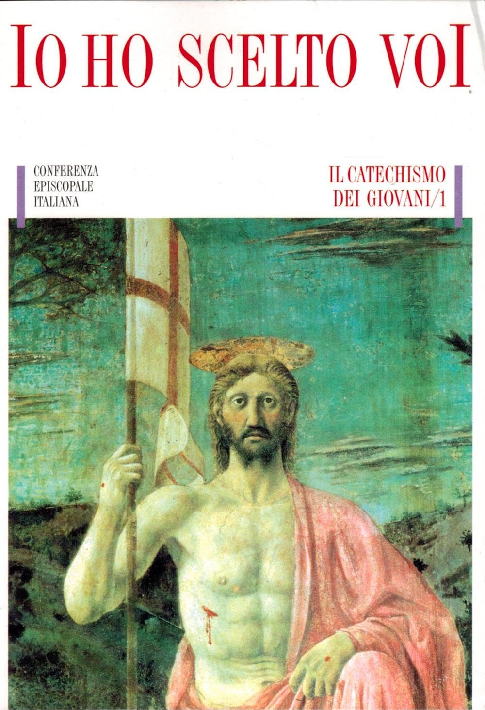 Io ho scelto voi book