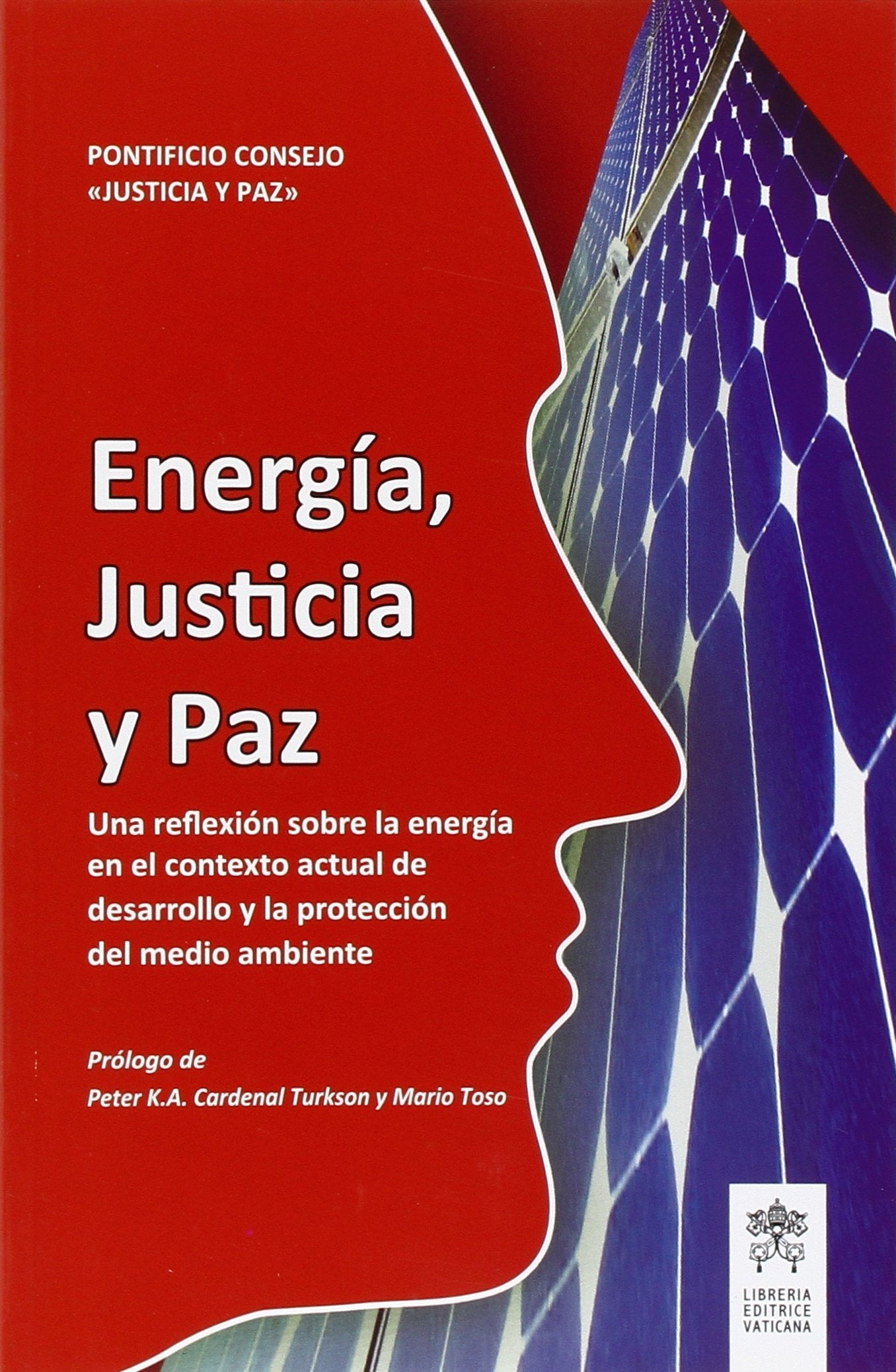 Energ a, Justicia Y Paz. Una Reflex on Sobre La Energ a En El Contextoactual De Desarrollo Y La Protecc on Del Medio Ambiente book