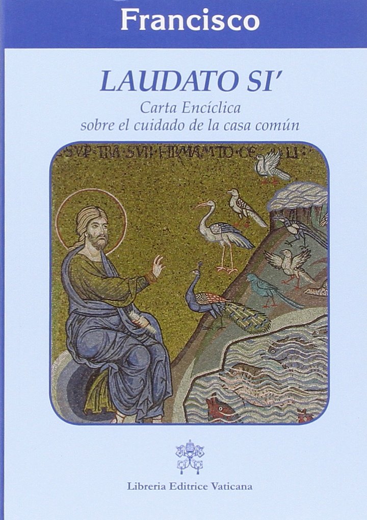 Laudato sì. Carta enciclica sobre el cuidado de la casa comun Religion & Esotericism