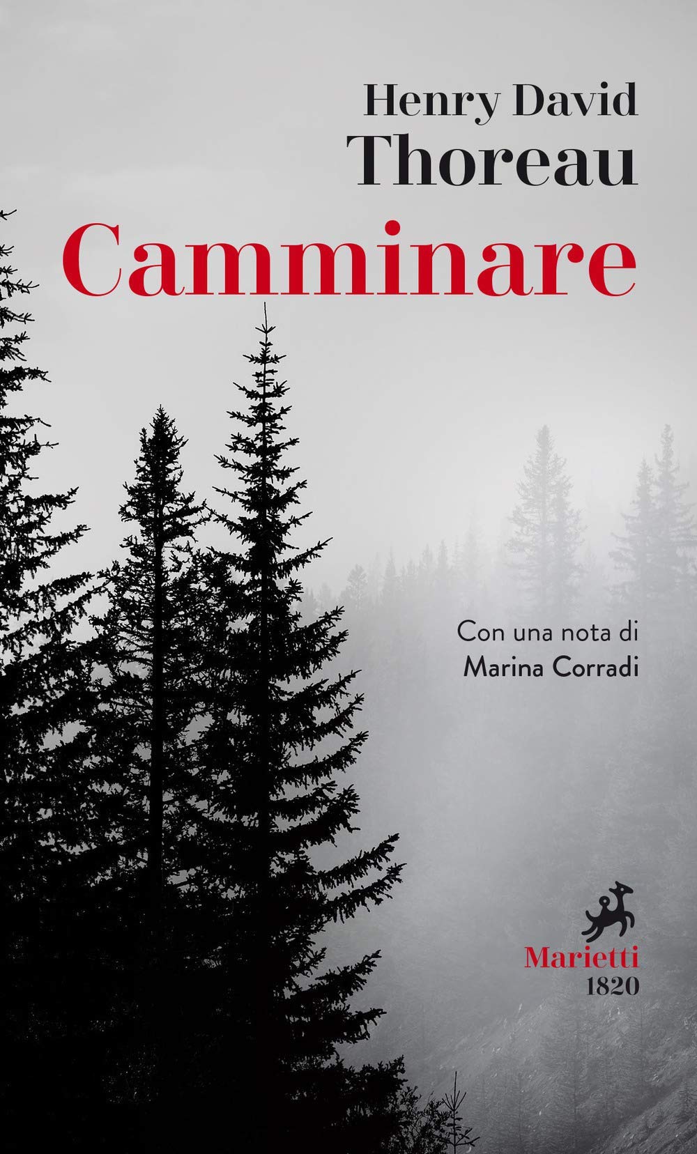 Camminare Essays & Short Stories