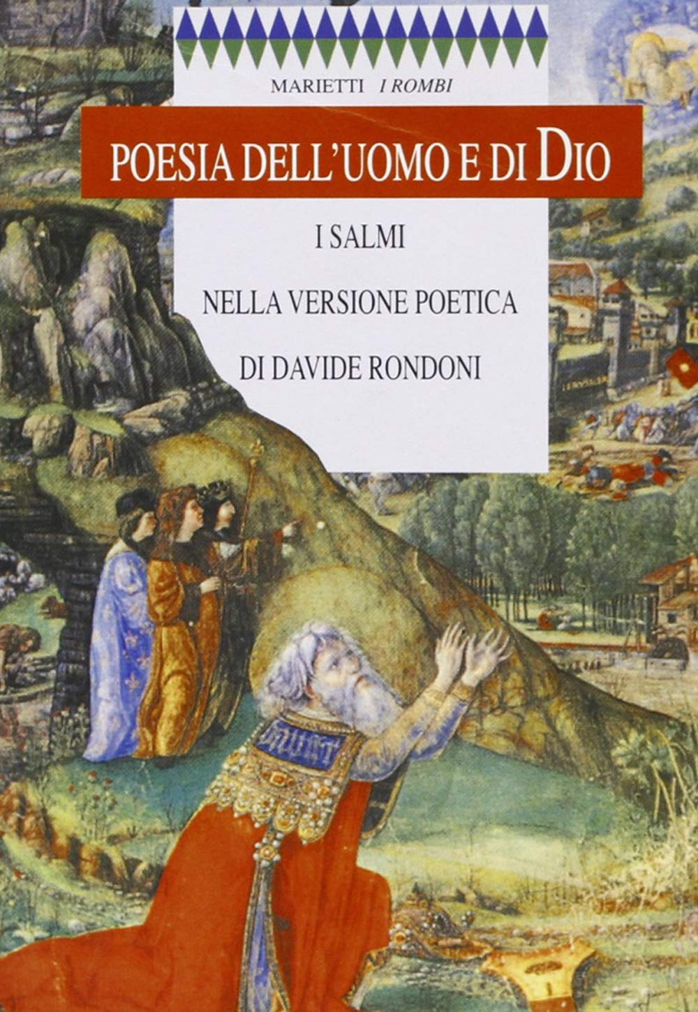 Poesia dell'uomo e di Dio. I Salmi nella versione poetica di Davide Rondoni book
